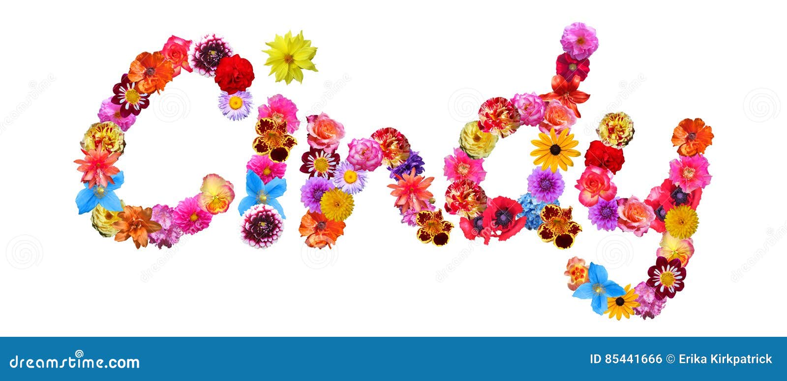 Cindy Ilustraciones Stock, Vectores, Y Clipart – (175 Ilustraciones Stock) Cindy Ilustraciones Stock, Vectores, Y Clipart – (175 Ilustraciones Stock)