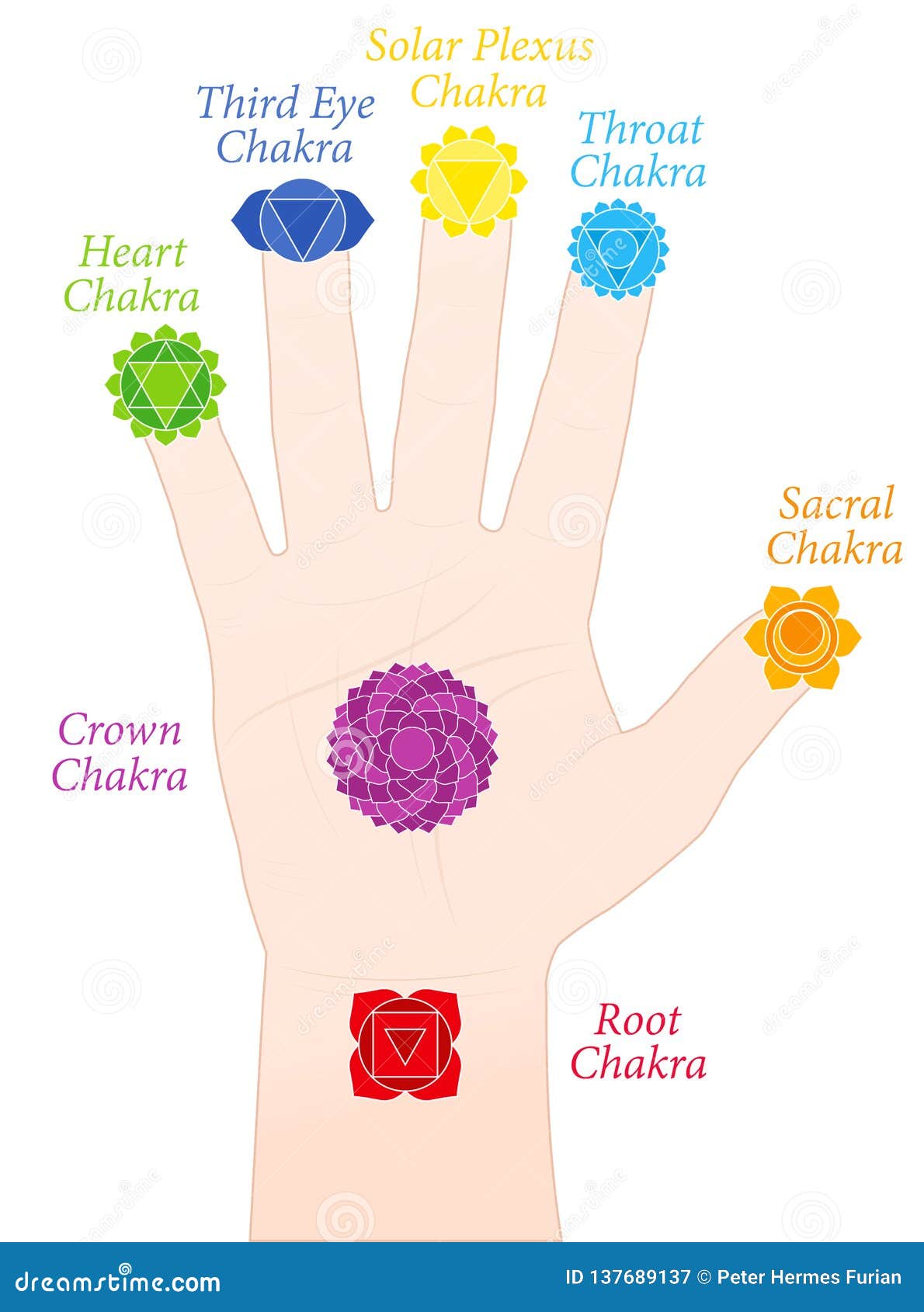 Significato Esoterico Delle Dita Della Mano Nomi Di Simboli Delle Dita Della Mano Di Chakras Della Palma