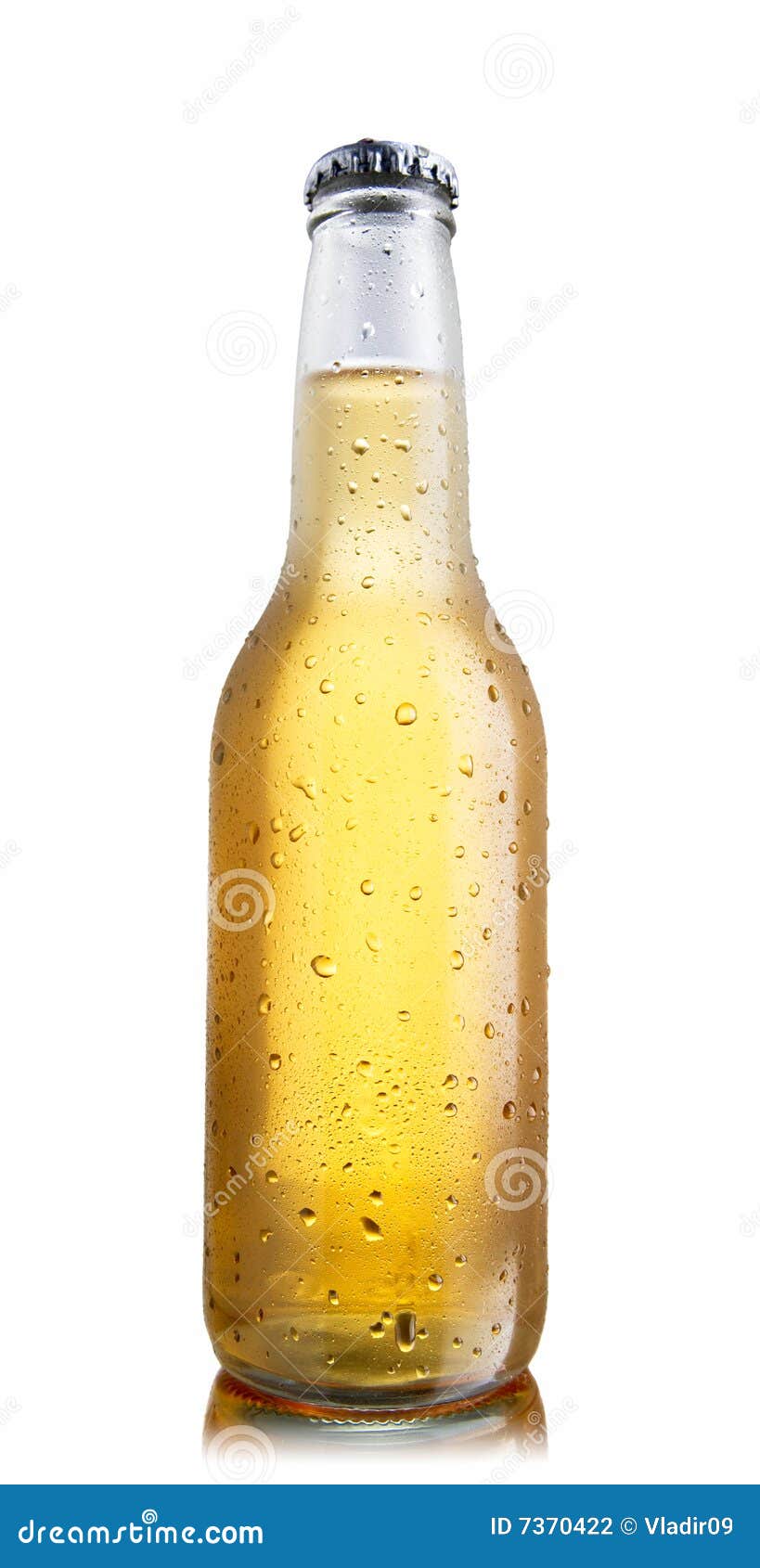 Download Non Glossy White Beer Bottle Stock Photo Image Of Drops Fresh 7370422