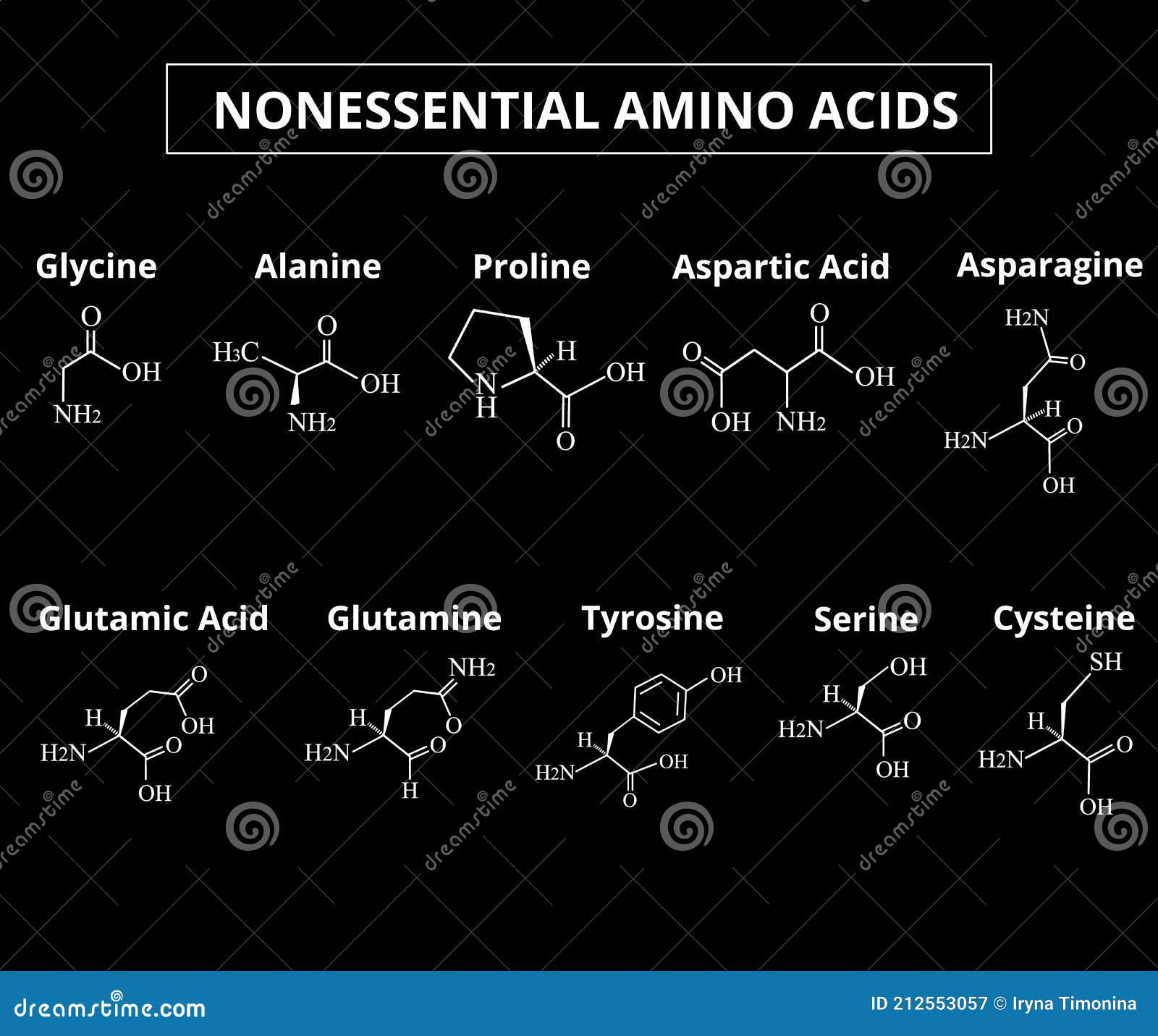 Nonessential Amino Acids. a Set of Amino Acids. Chemical Molecular