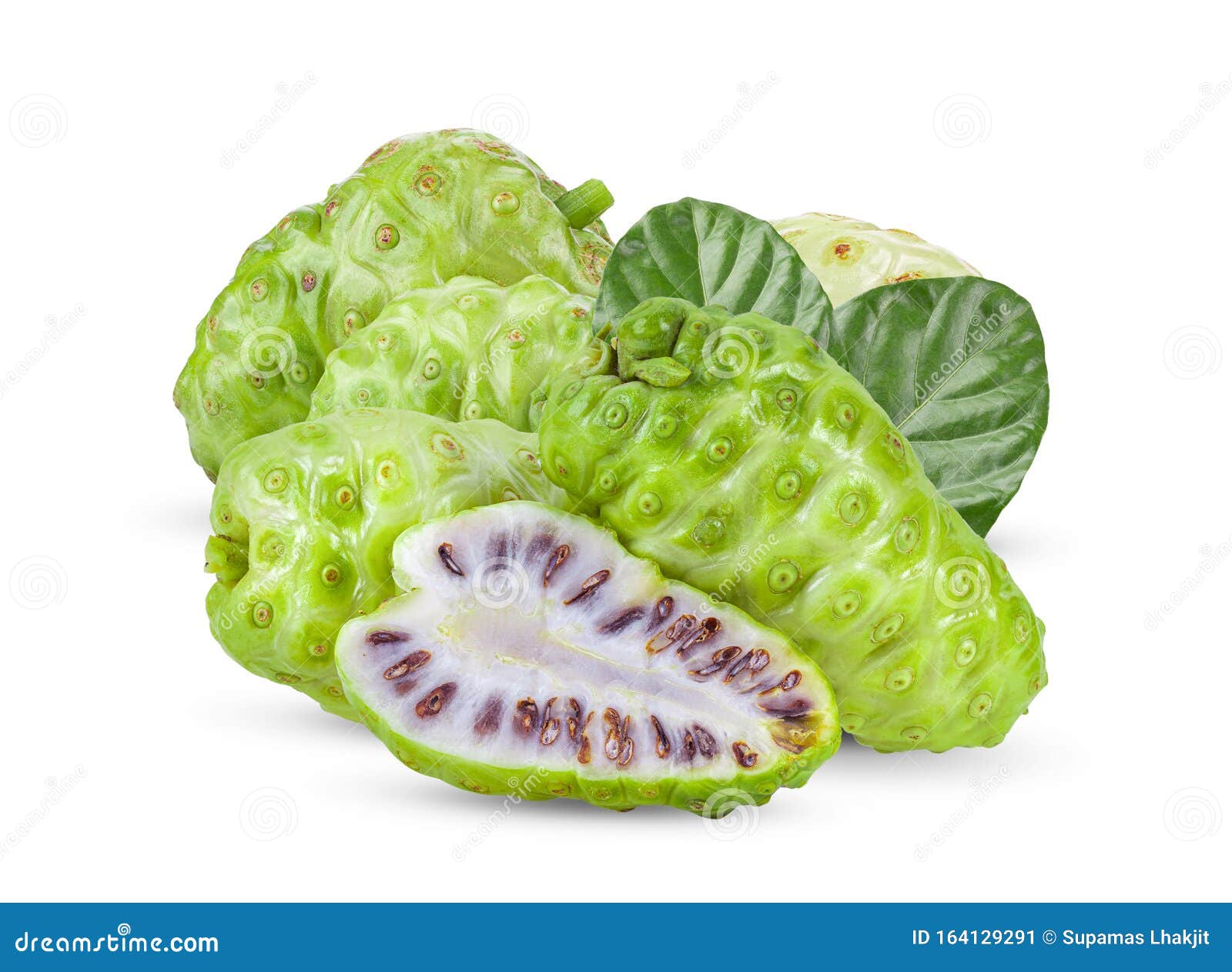 Noni Fruit with Leaf on White Stock Image Image of juice, antioxidant