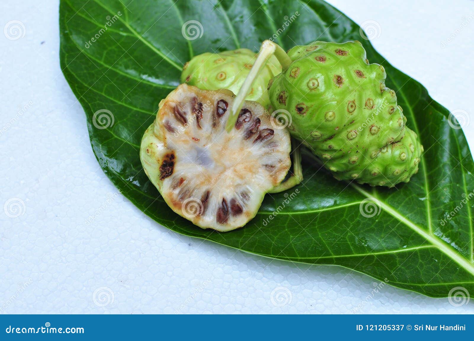 Noni Fruit Morinda Citrifolia Stock Image Image of juice, medicine 121205337