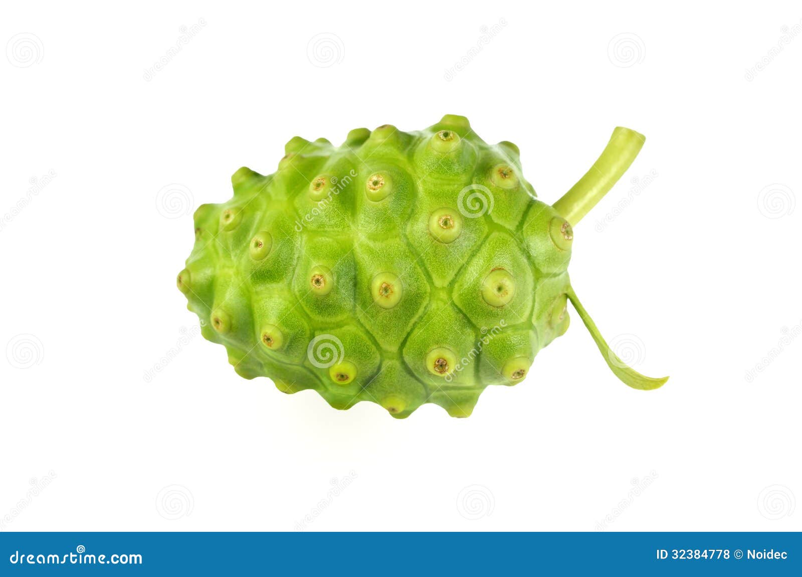 Noni Indian Mulberry Fruit. Stock Photo Image of nature, noni 32384778