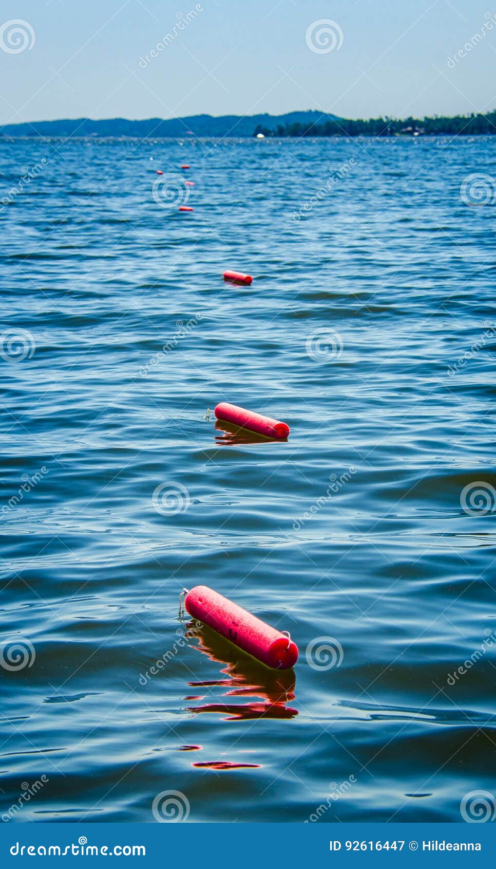 Noodle or Jug Fishing for Catfish Stock Image - Image of activity