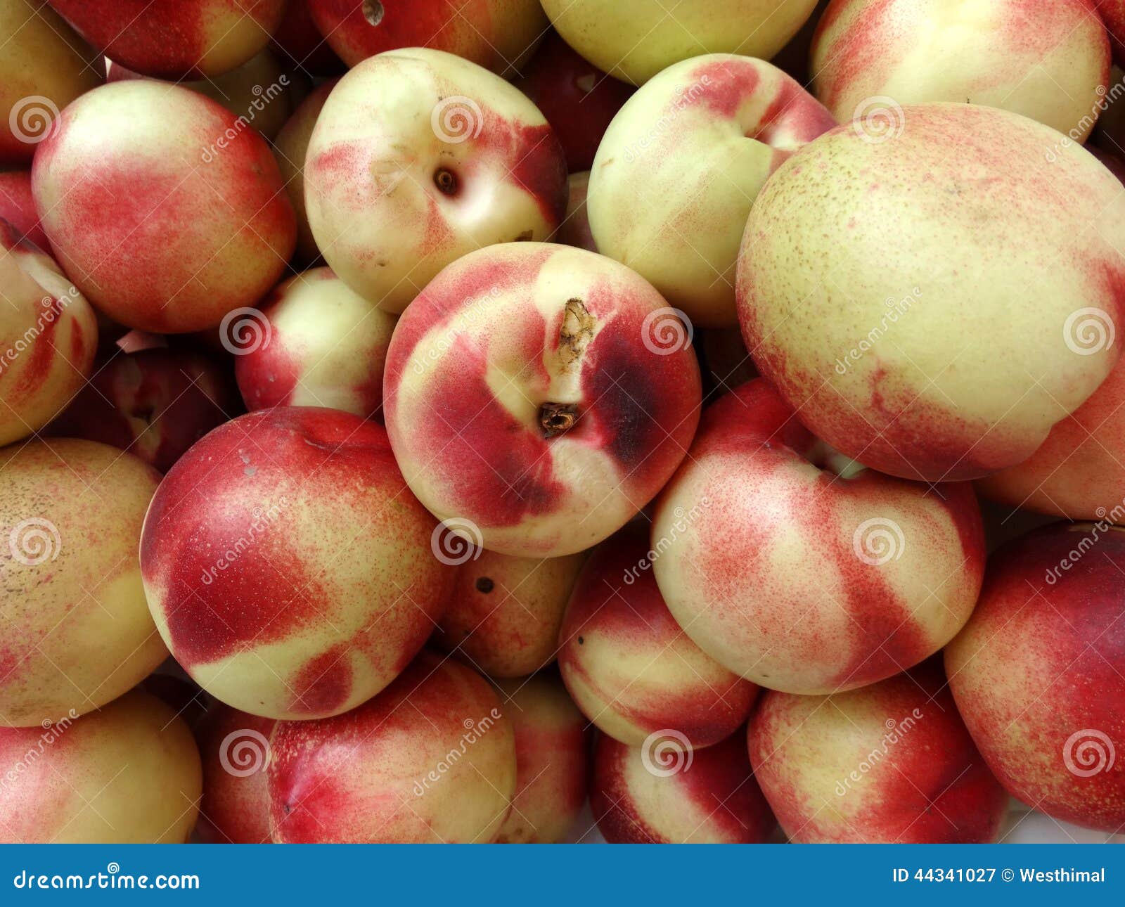 Noordpoolster Witte Nectarine Stock Afbeelding Image of zuur, vlees