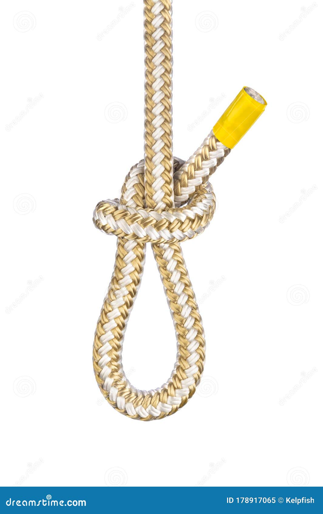 Noose knot on white stock image. Image of secure, rigging - 178917065