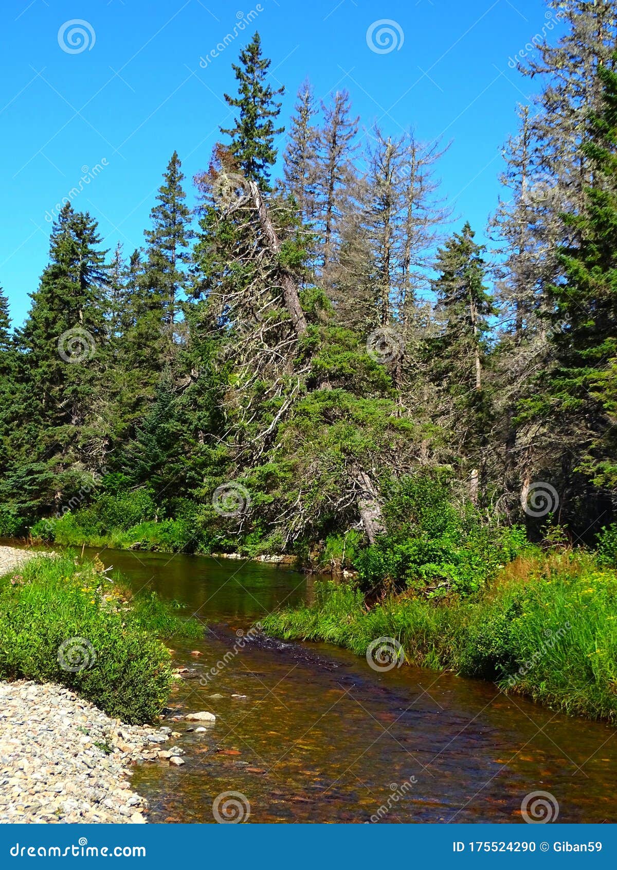 Noramérica Canadá Nuevo Brunswick Fundy Parque Nacional Horquillas