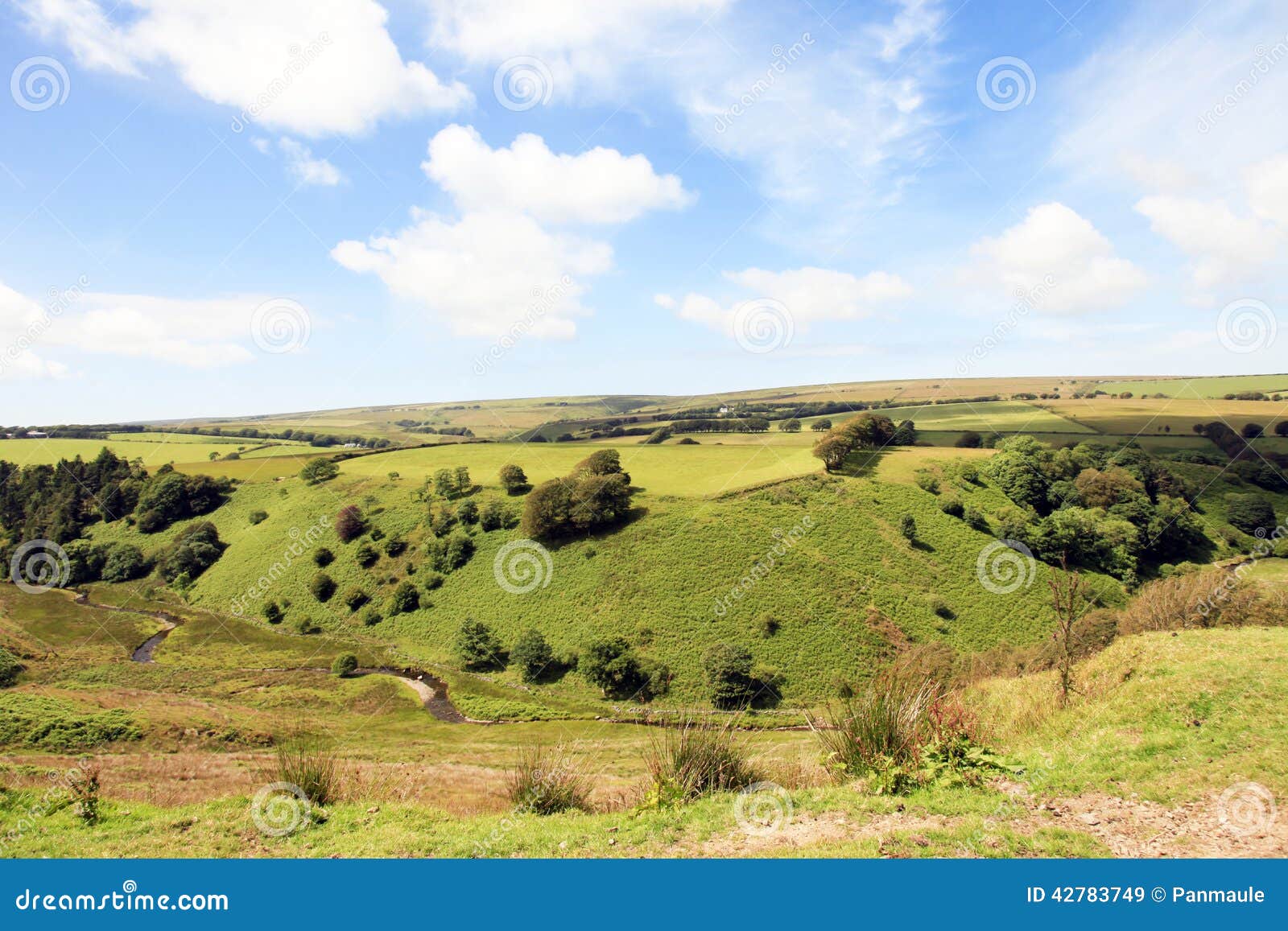 Nord-Devon Farmland England. Rollende Felder und Wiesen Nord-Devon Ackerland Exmoor Englisch