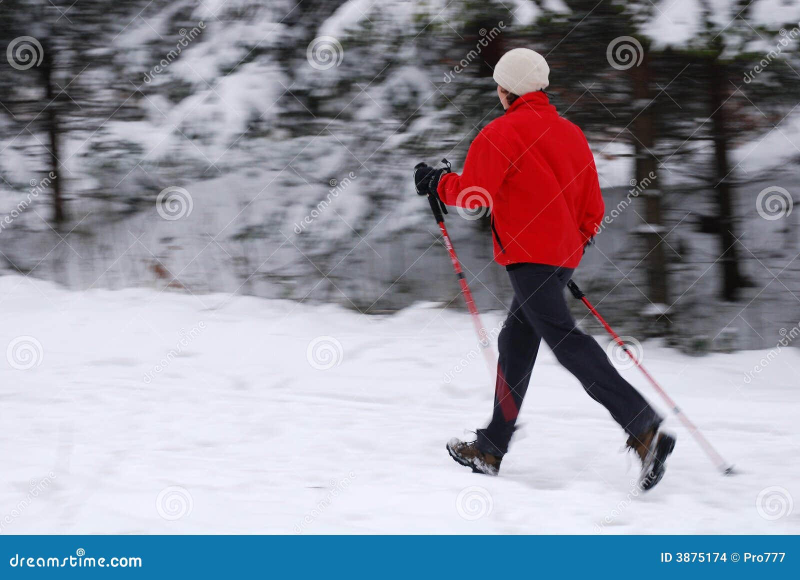 Nordic walking stock photo. Image of jogger, fitness, hobby - 3875174