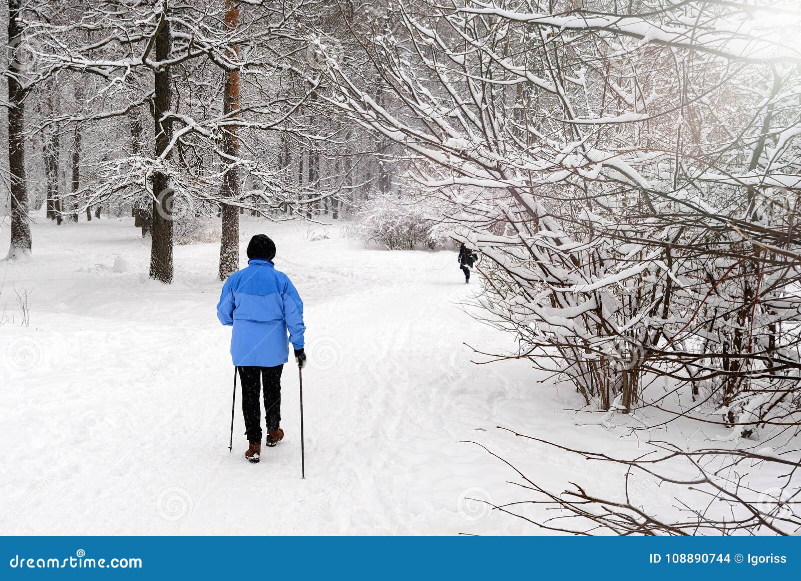 Nordic Walking in the Winter Park. Stock Photo - Image of pole ...