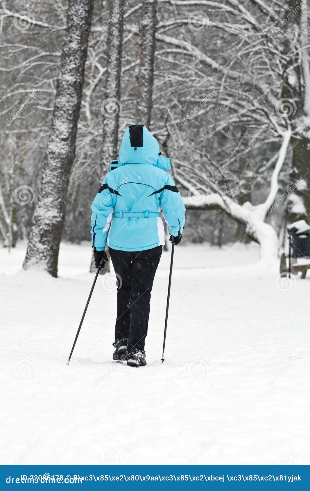 Nordic Walking on Snow, Winter Stock Photo - Image of activity ...