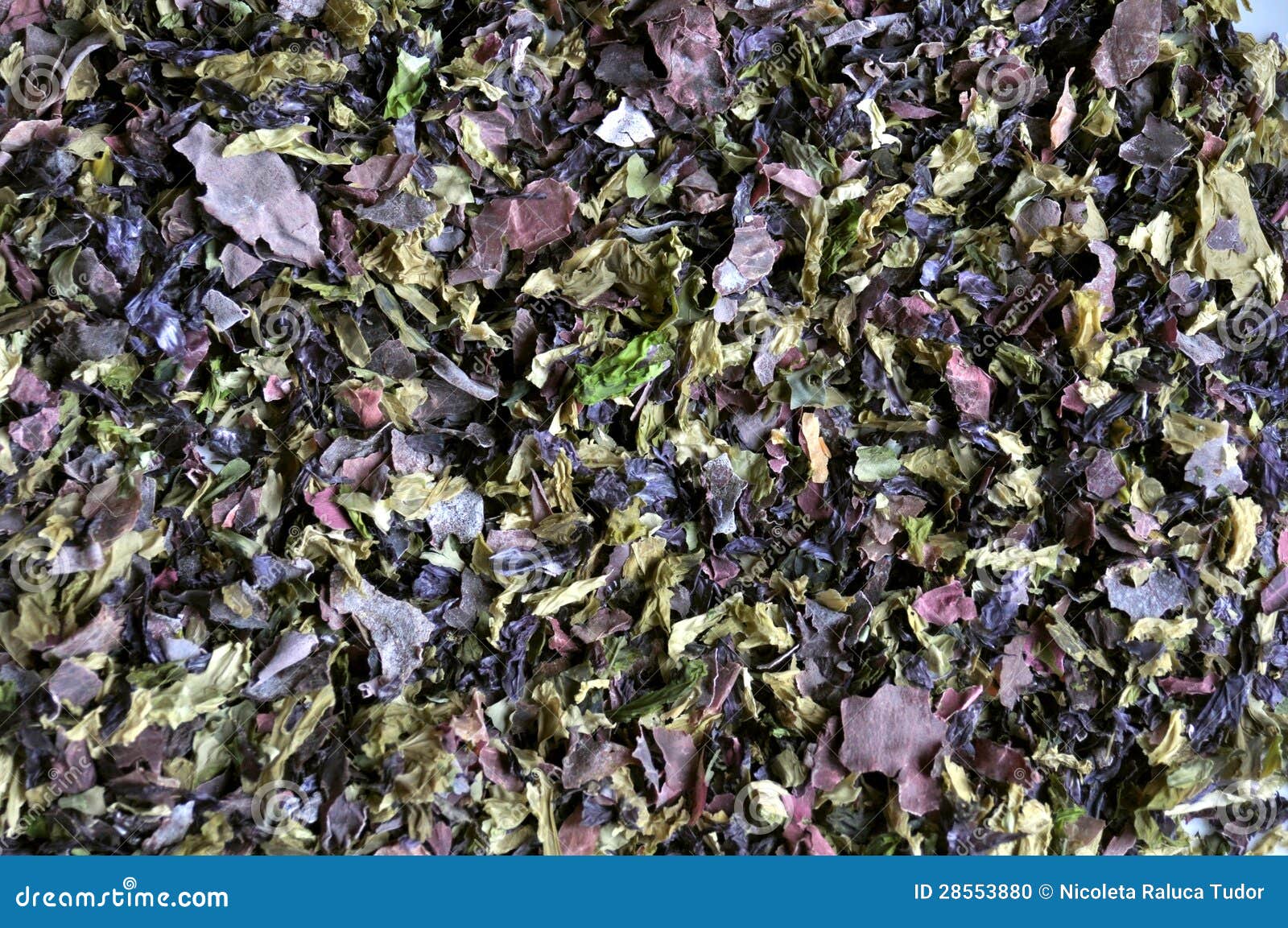 Nori Shred Algae ,edible Seaweed Stock Photo Image of grass, cooking