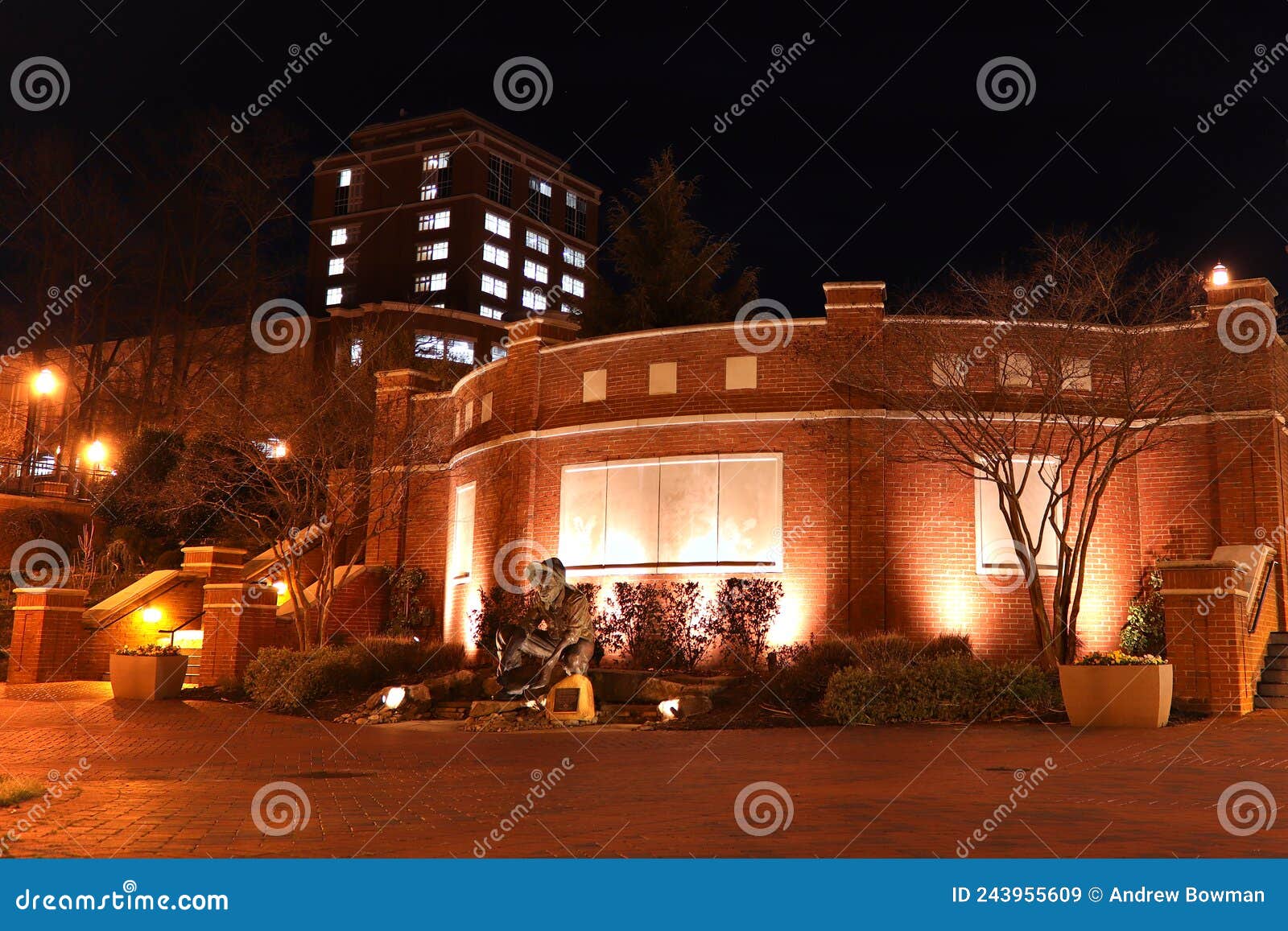 norm the niner statue and j. murrey atkins library  at unc charlotte at night