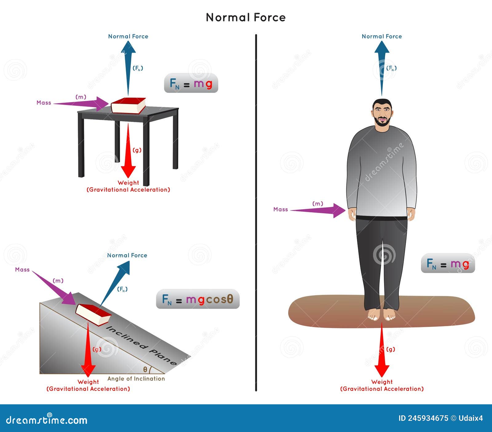 Normal Force Infographic Diagram with Example Stock Vector ...