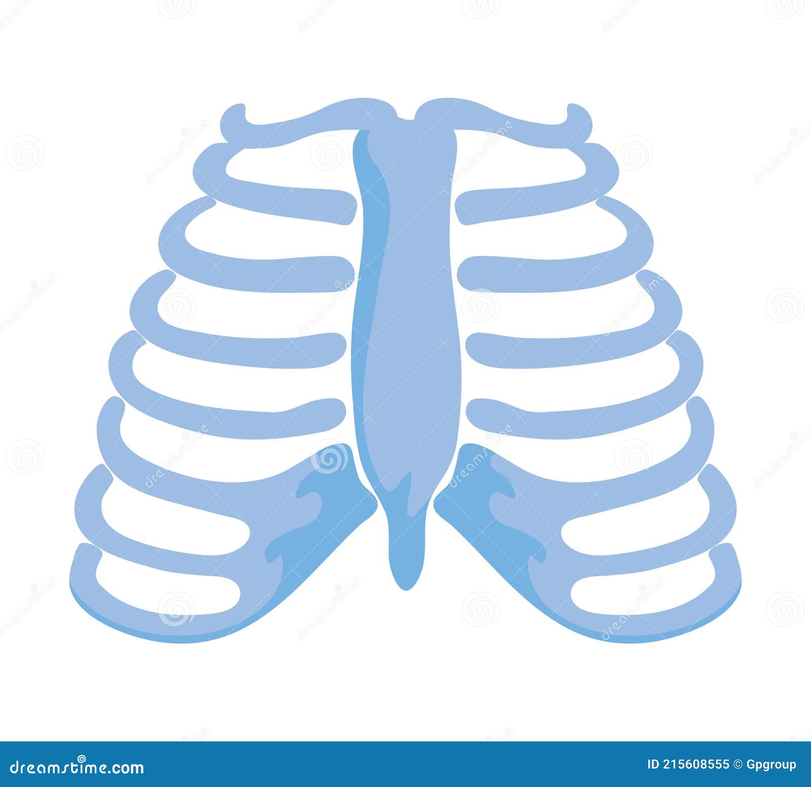 Normal ribs joints stock vector. Illustration of body 215608555