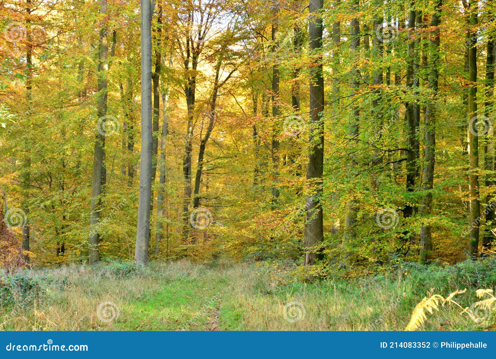 Normandie, the Picturesque Village of Lyons La Foret Stock Photo