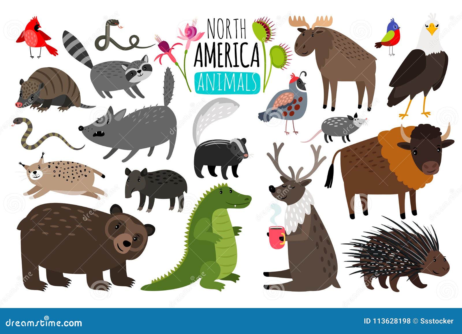 North American Animals. Animal Graphics of North America, American Bison  and Skunk, Cute Moose and Lynx Stock Vector - Illustration of biology,  animal: 113628198