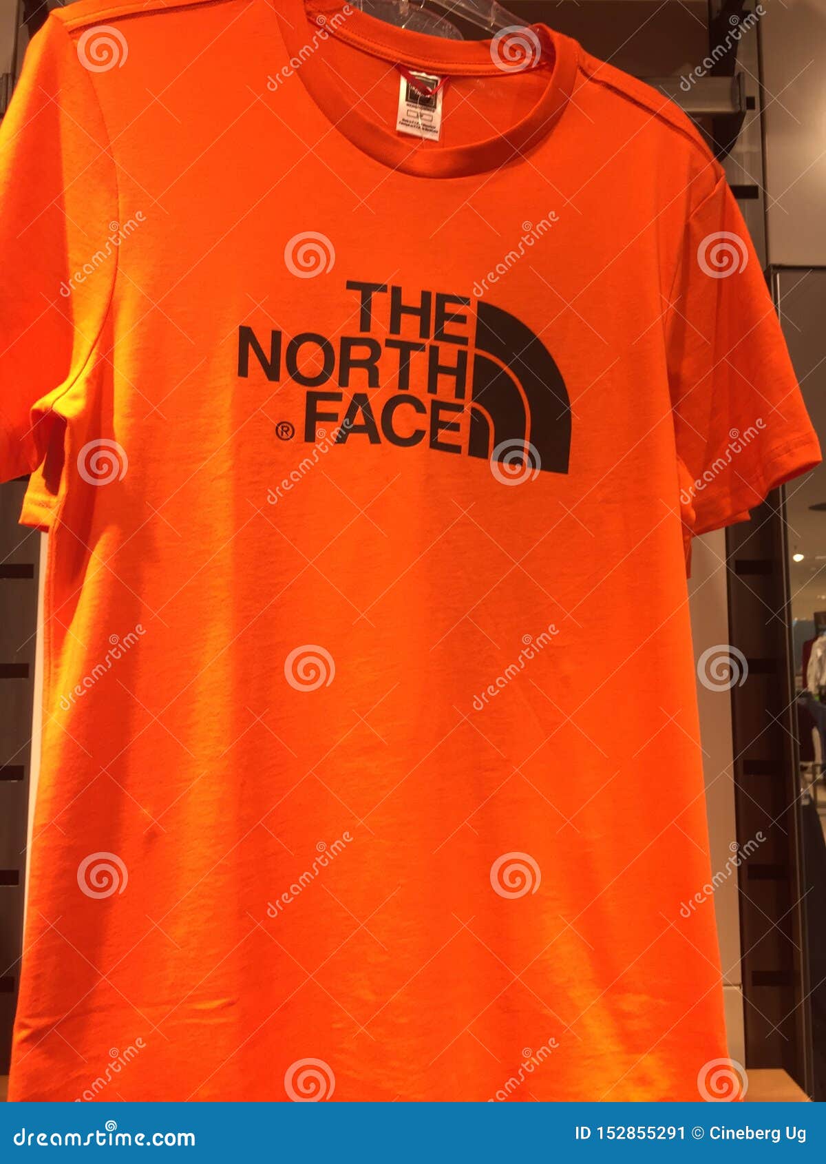 north face tee shirts sale