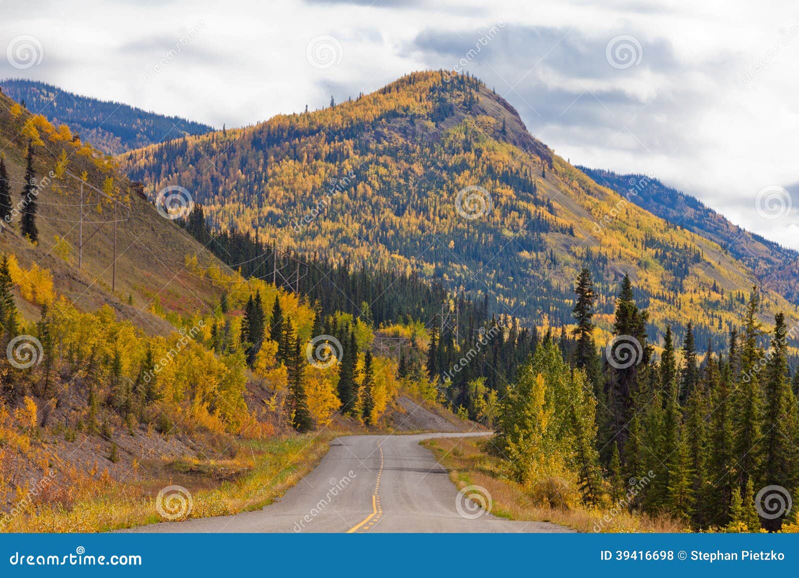 north klondike highway golden taiga yukon canada