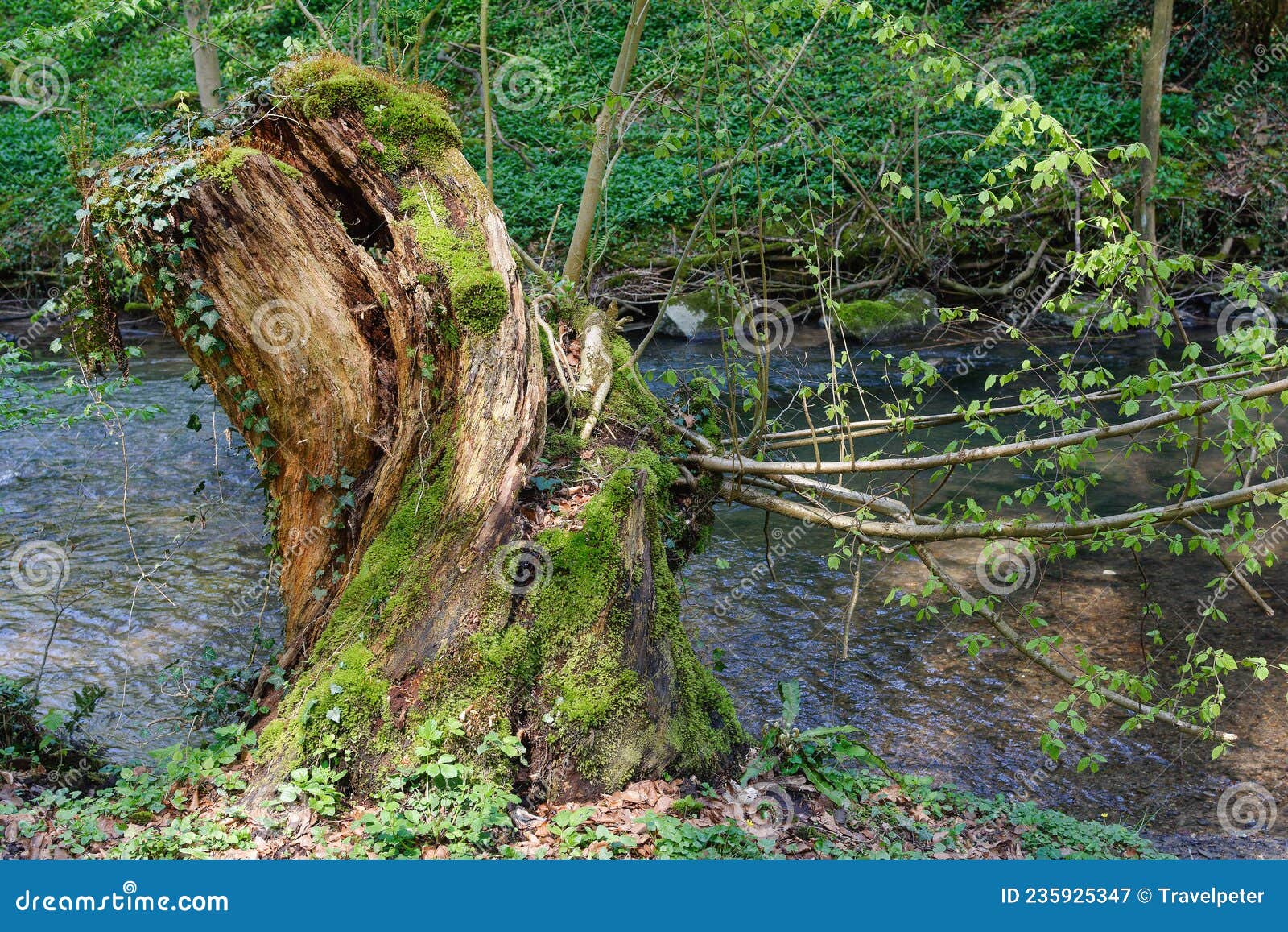 dussel river,neandertal,north rhine westphalia,germany