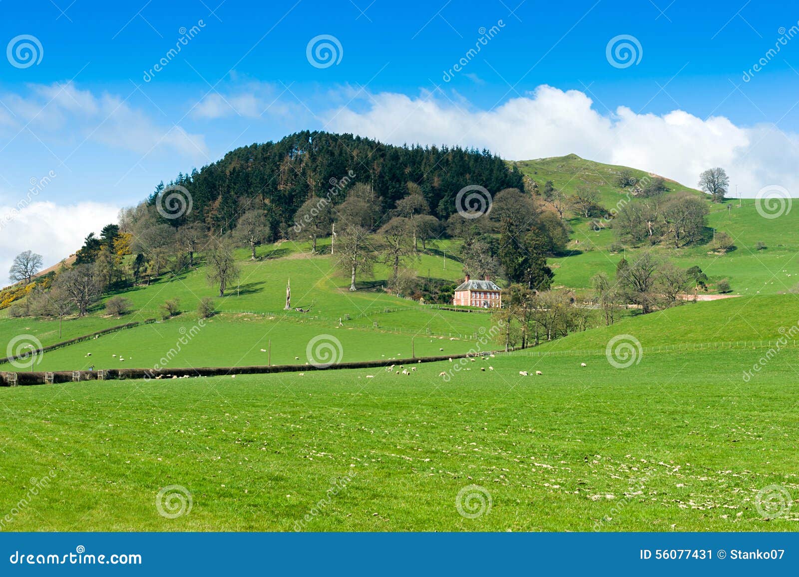 North Wales Countryside Landscape Stock Image Image of farming, agricultural 56077431