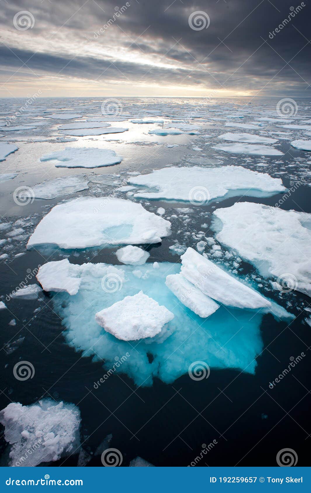 Breaking Spring Ice Floe At The Sea Stock Photo, Picture and Royalty Free  Image. Image 12646141.