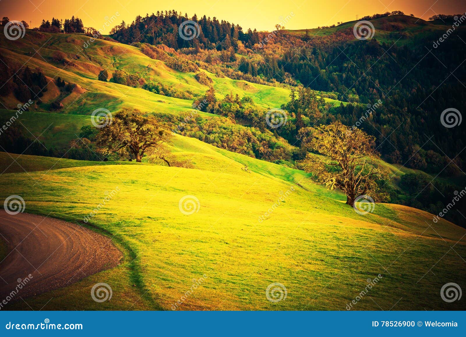 Concali su terrainu hi-res stock photography and images - Alamy