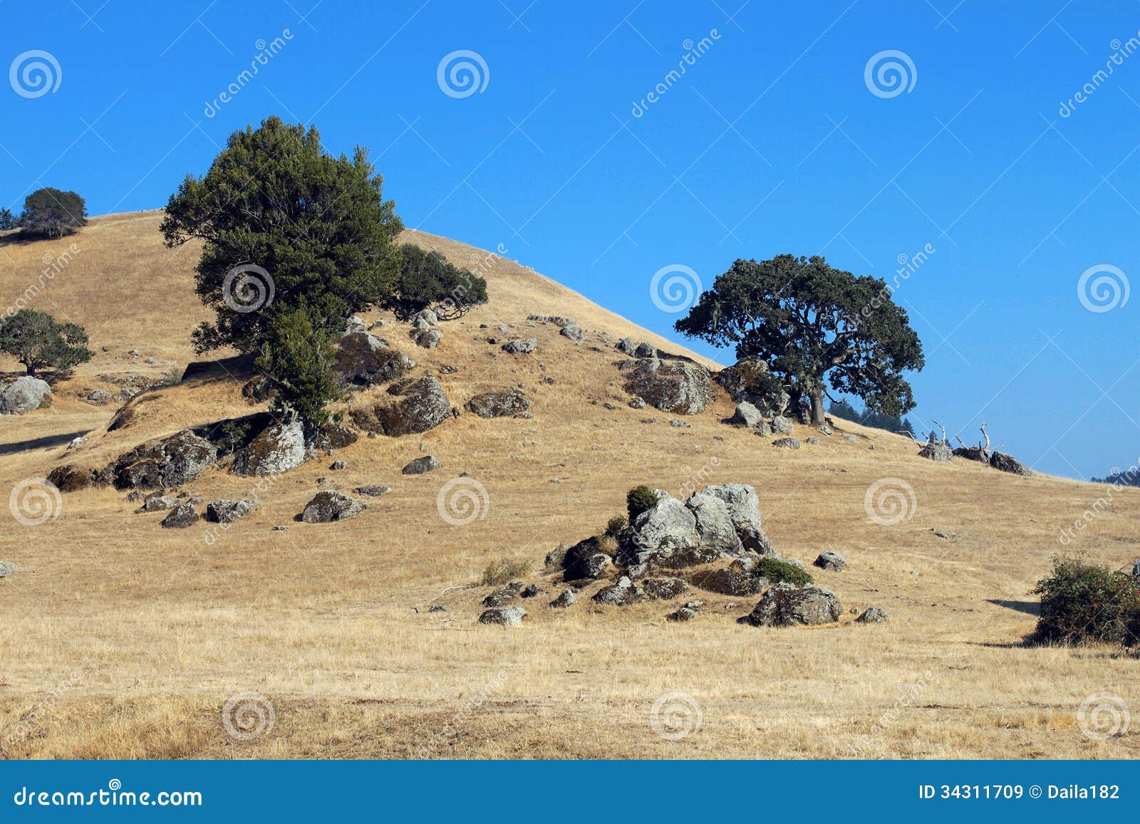 Northern California Landscape Royalty Free Stock Images 