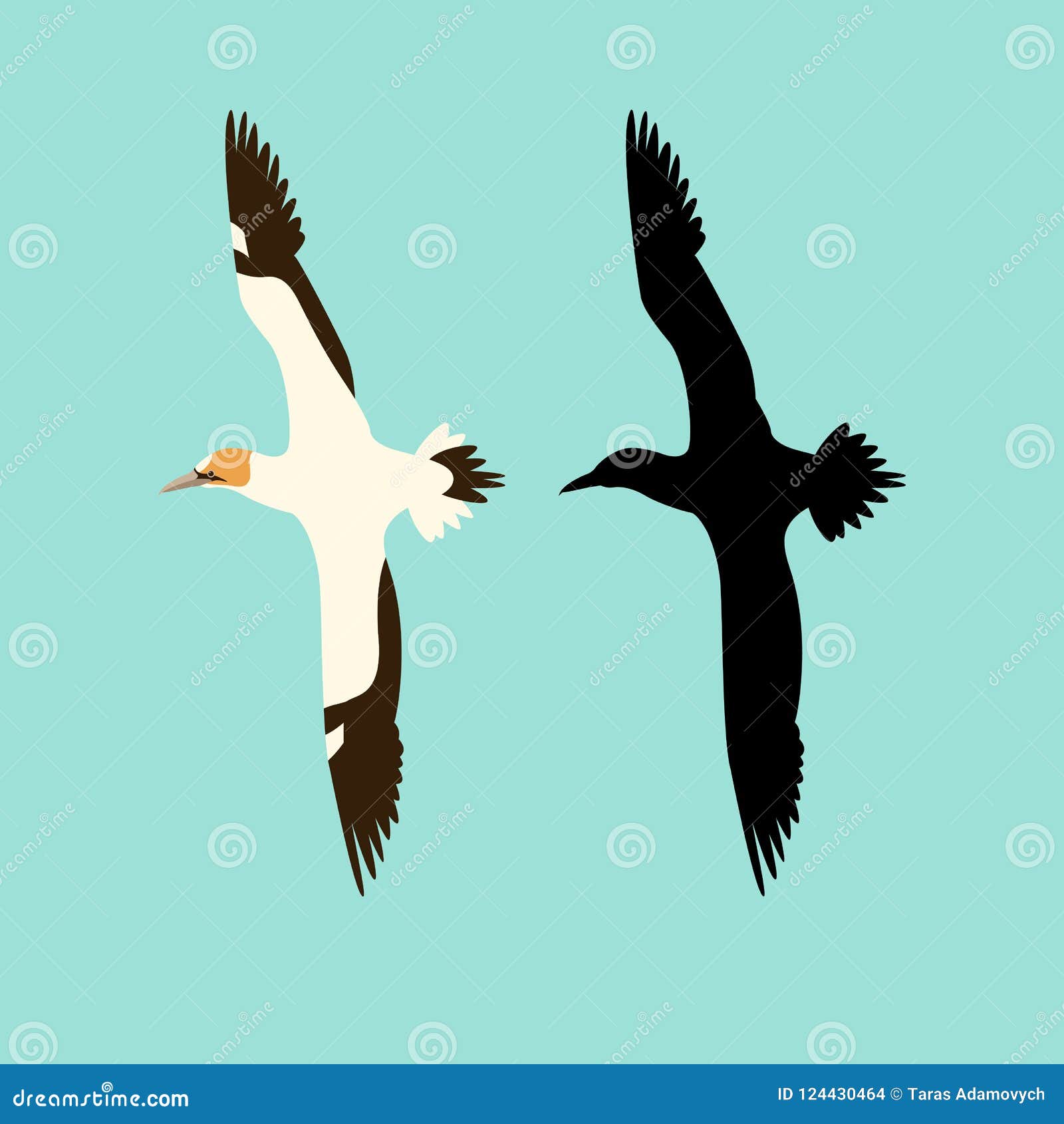 northern gannet bird   flat style silhouette