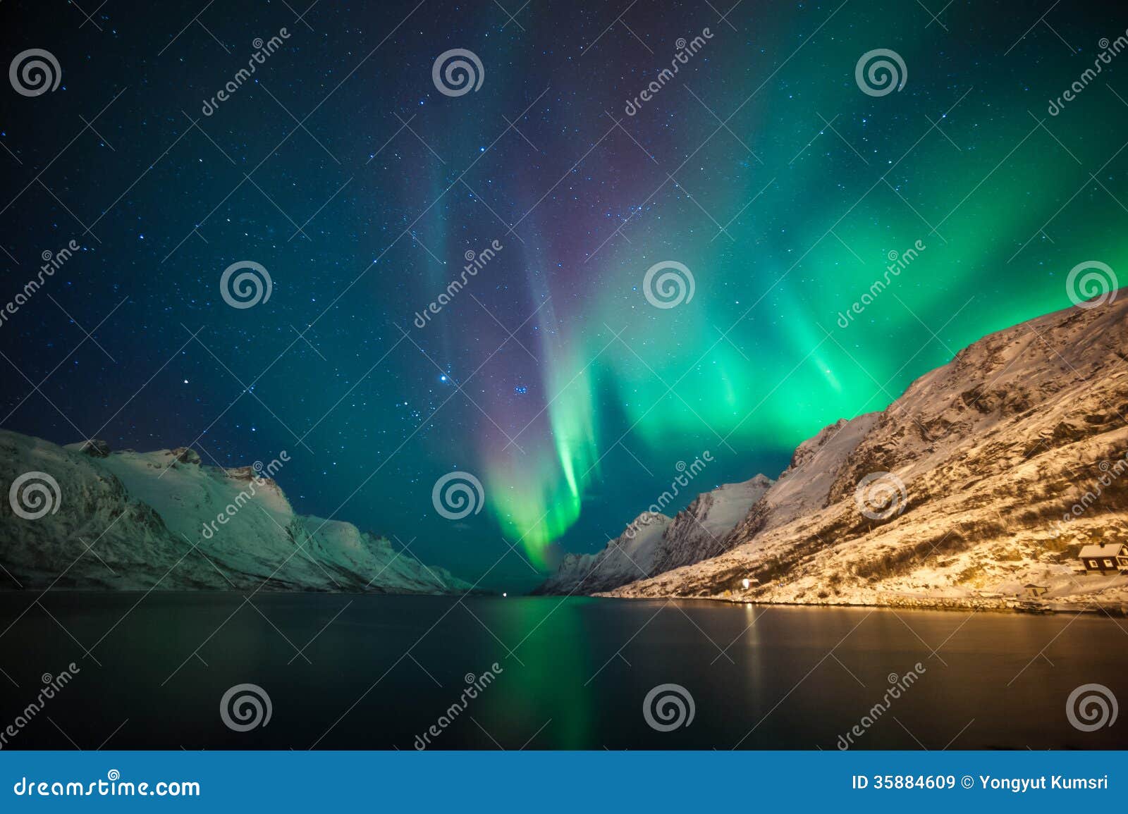 northern lights above fjords