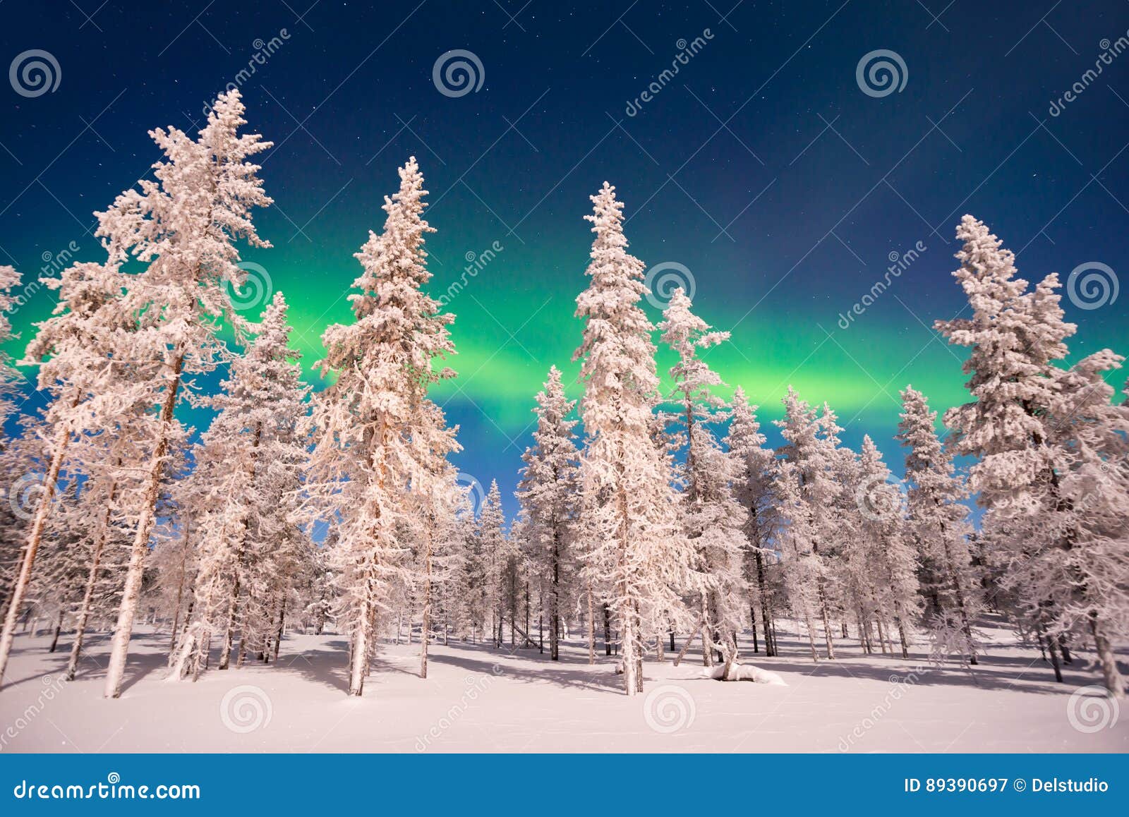 northern lights, aurora borealis in lapland finland