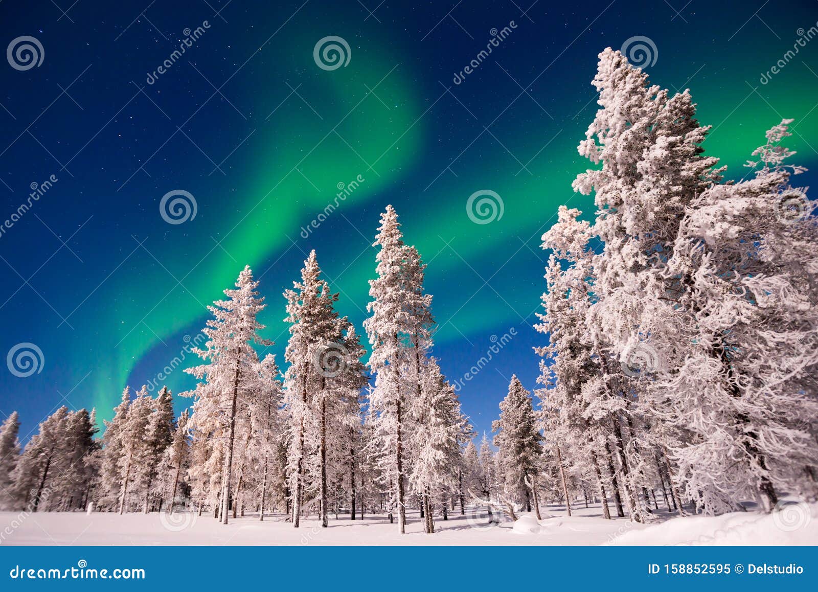 northern lights, aurora borealis in lapland finland