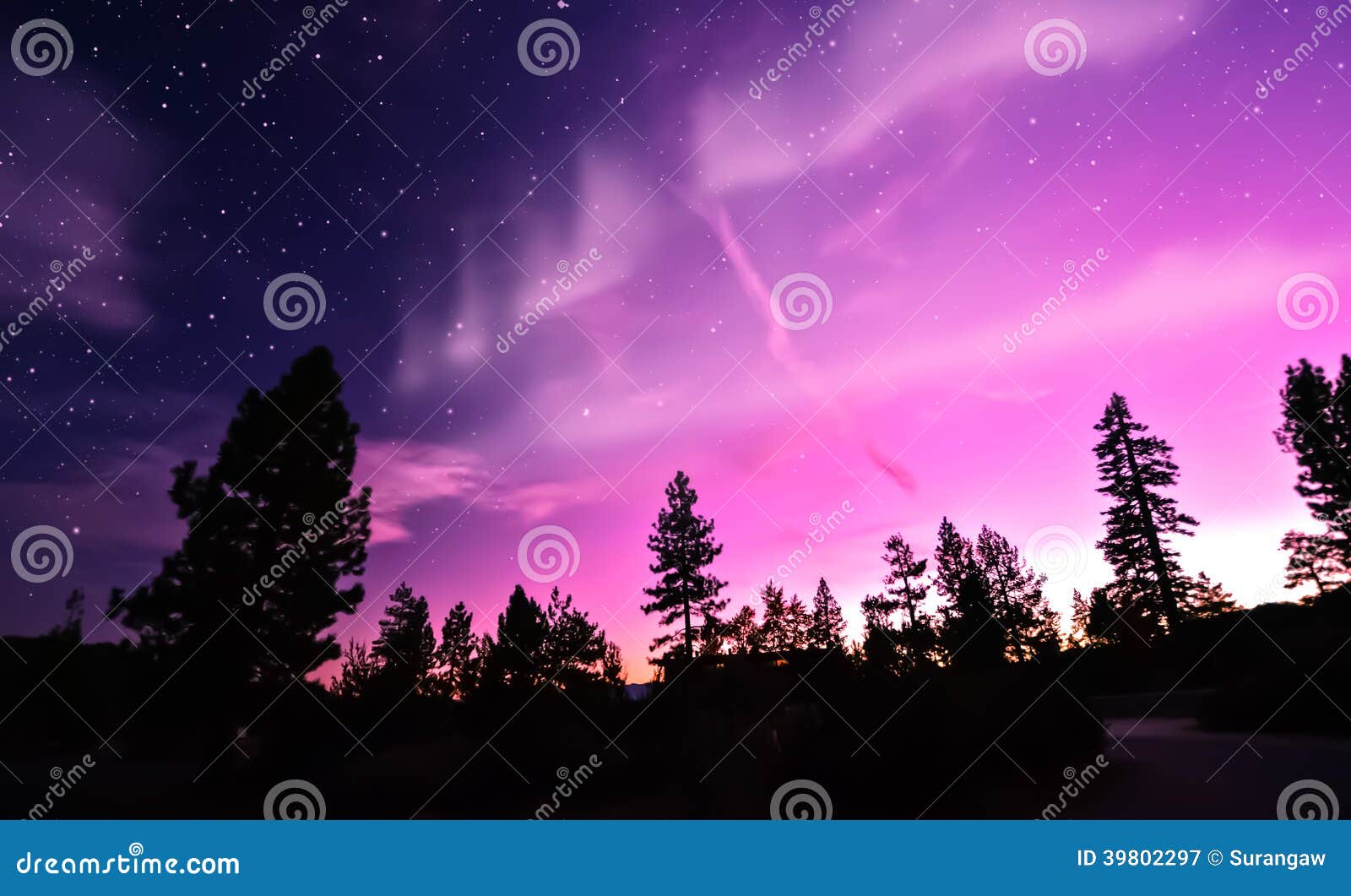 northern lights aurora borealis over trees