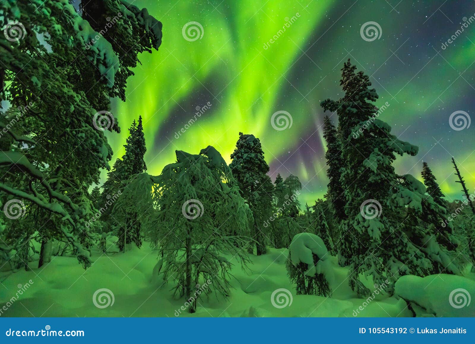 northern lights in finish lapland