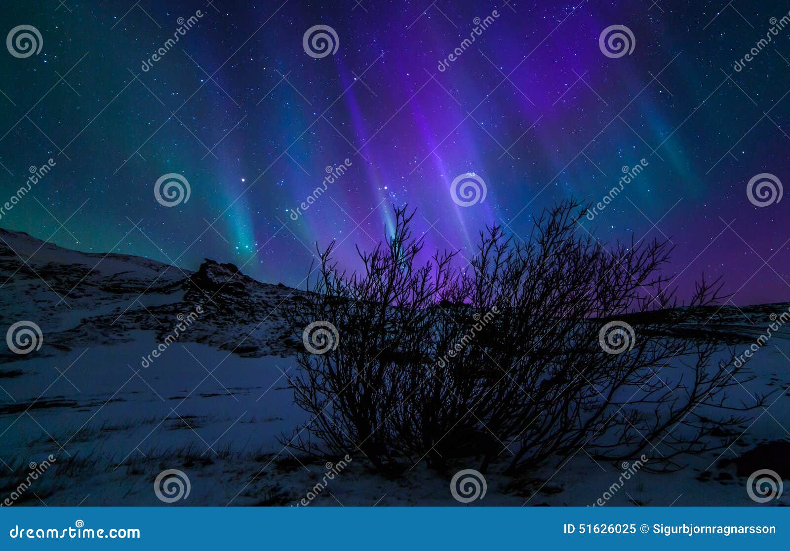 northern lights