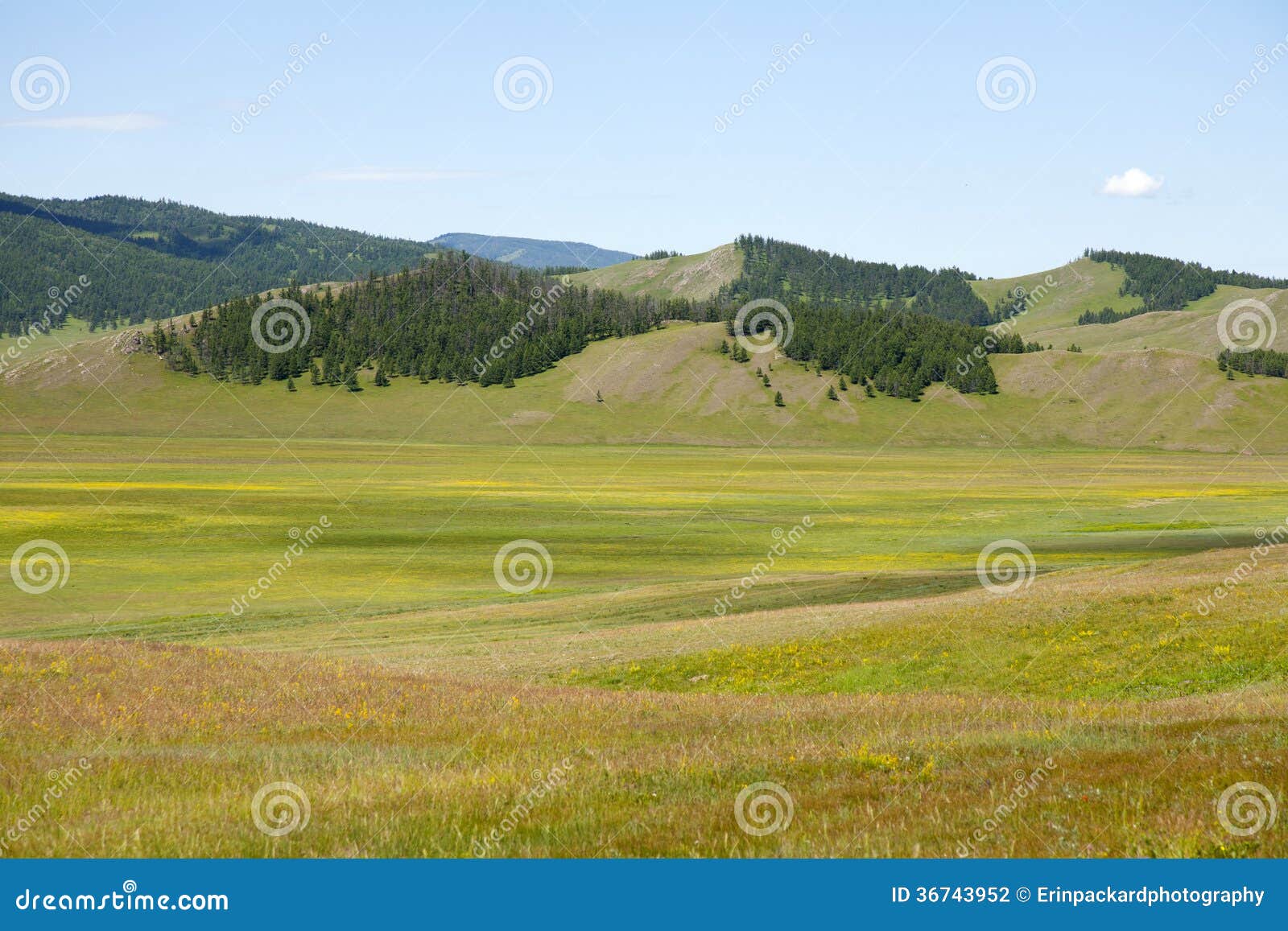 northern mongolian forests and steppes