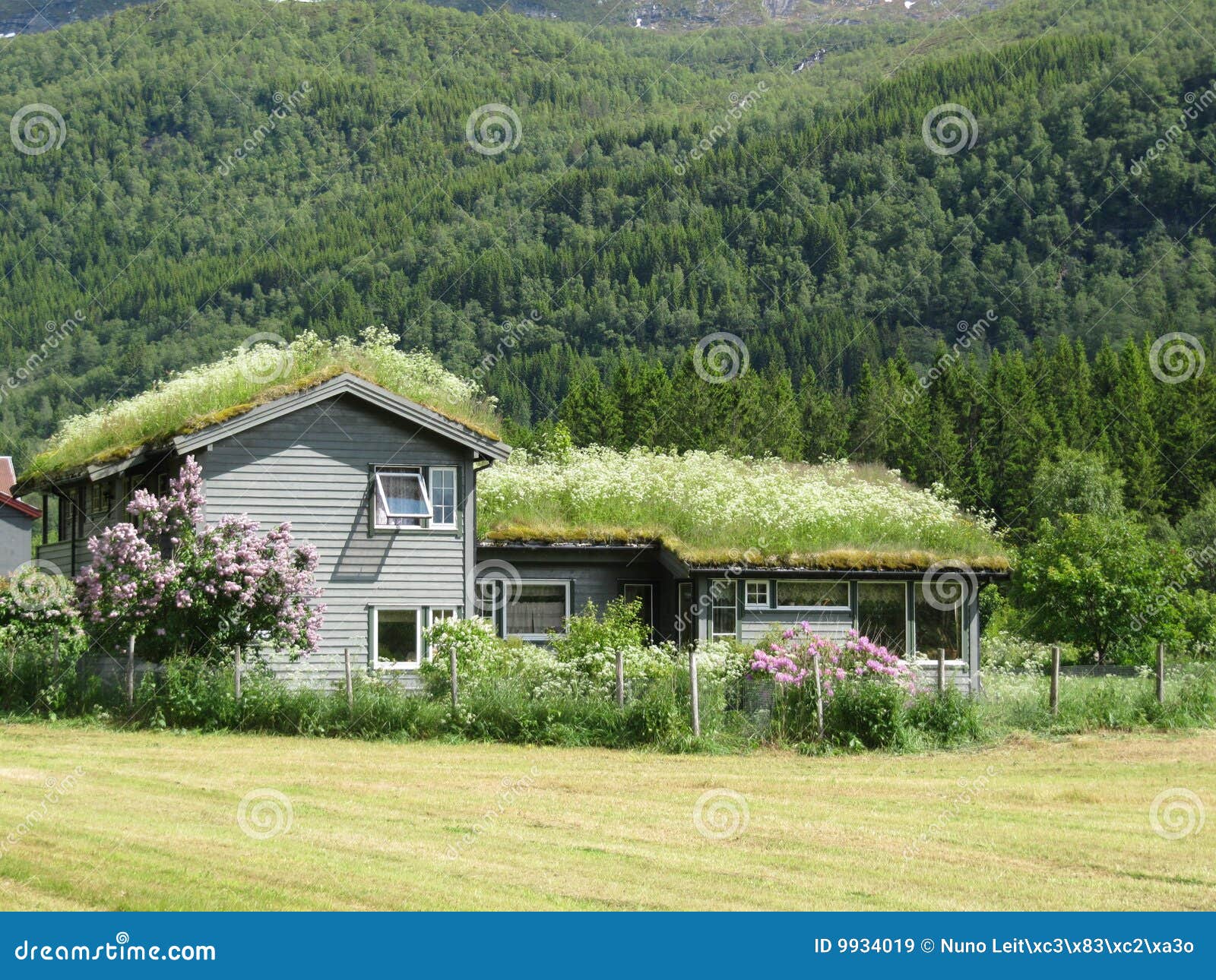 norway typical farm house