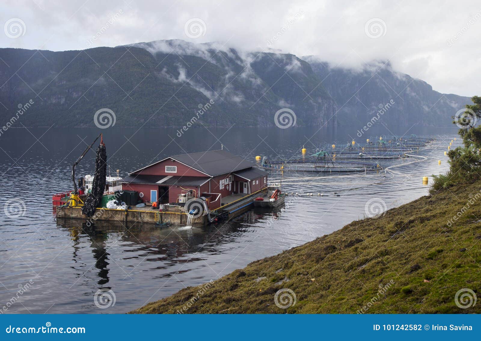 Norwegian fish farm stock photo. Image of fishery, pool 101242582