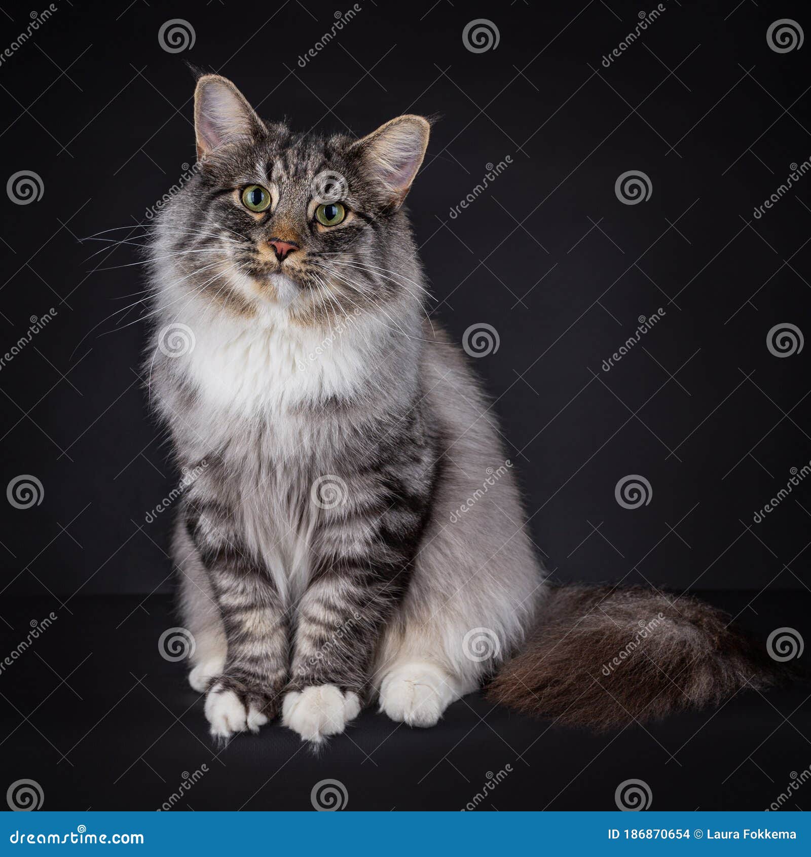 My Image 30