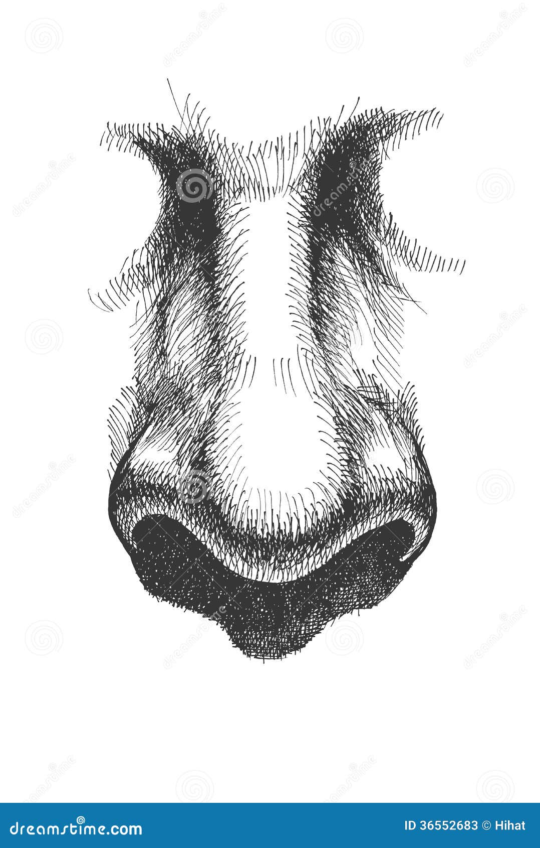 Nose - Vector Illustration. Hand Drawn. Eps8 Stock Photos - Image: 36552683