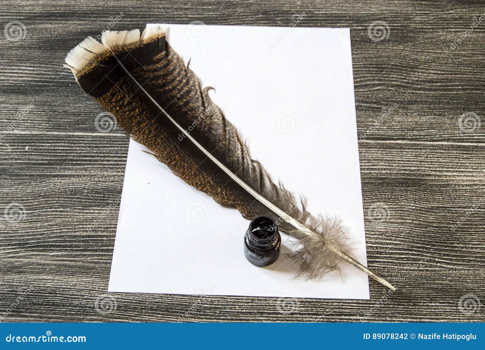 the nostalgic bird feather pen and paper