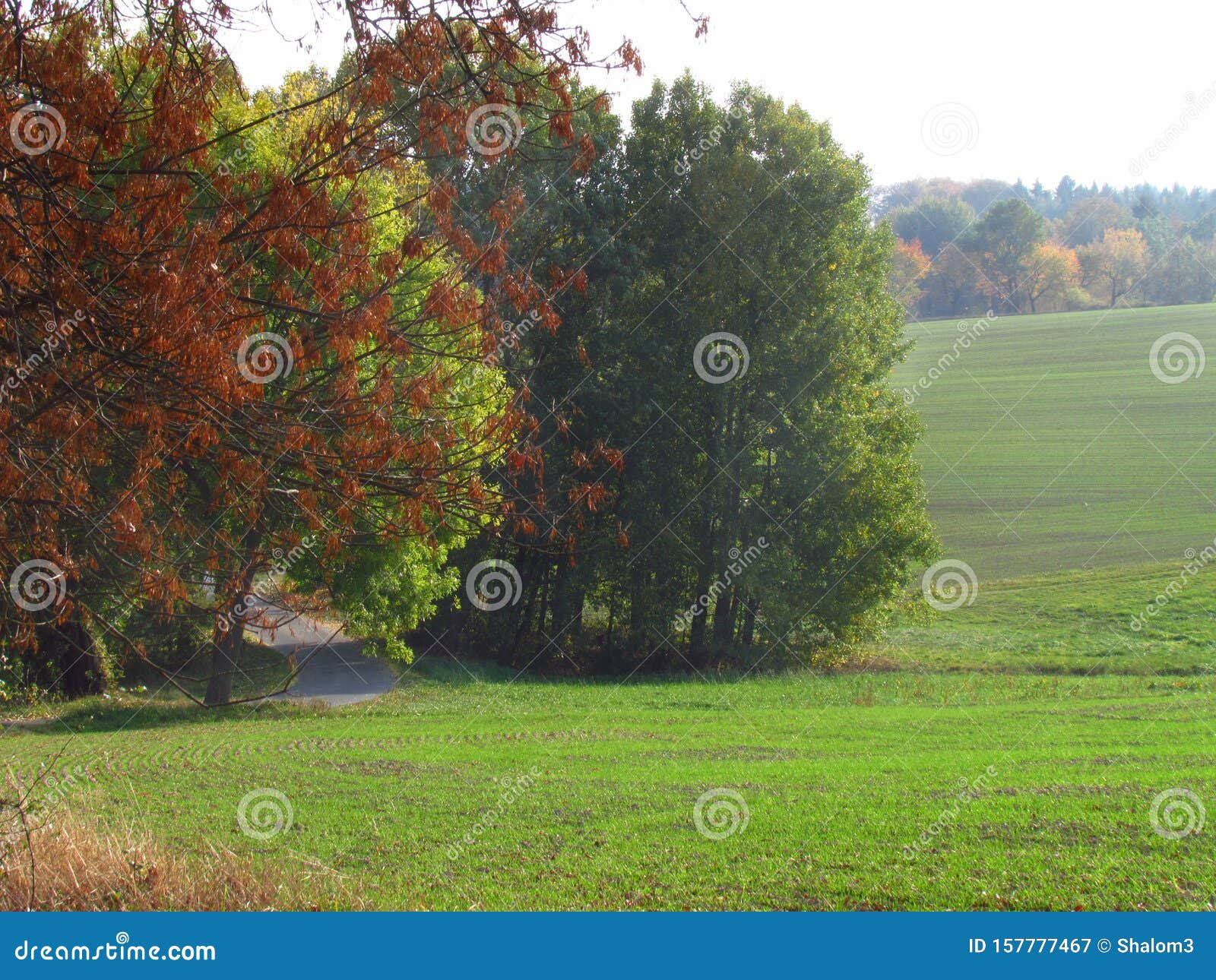 Nostalgic Misty Landscape In Late Afternoon Nice Autumn Peaceful