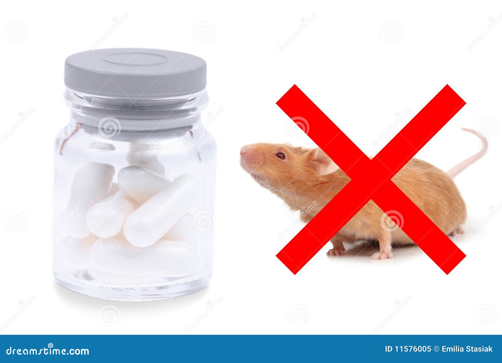 Not tested on animals stock image. Image of healthcare - 11576005