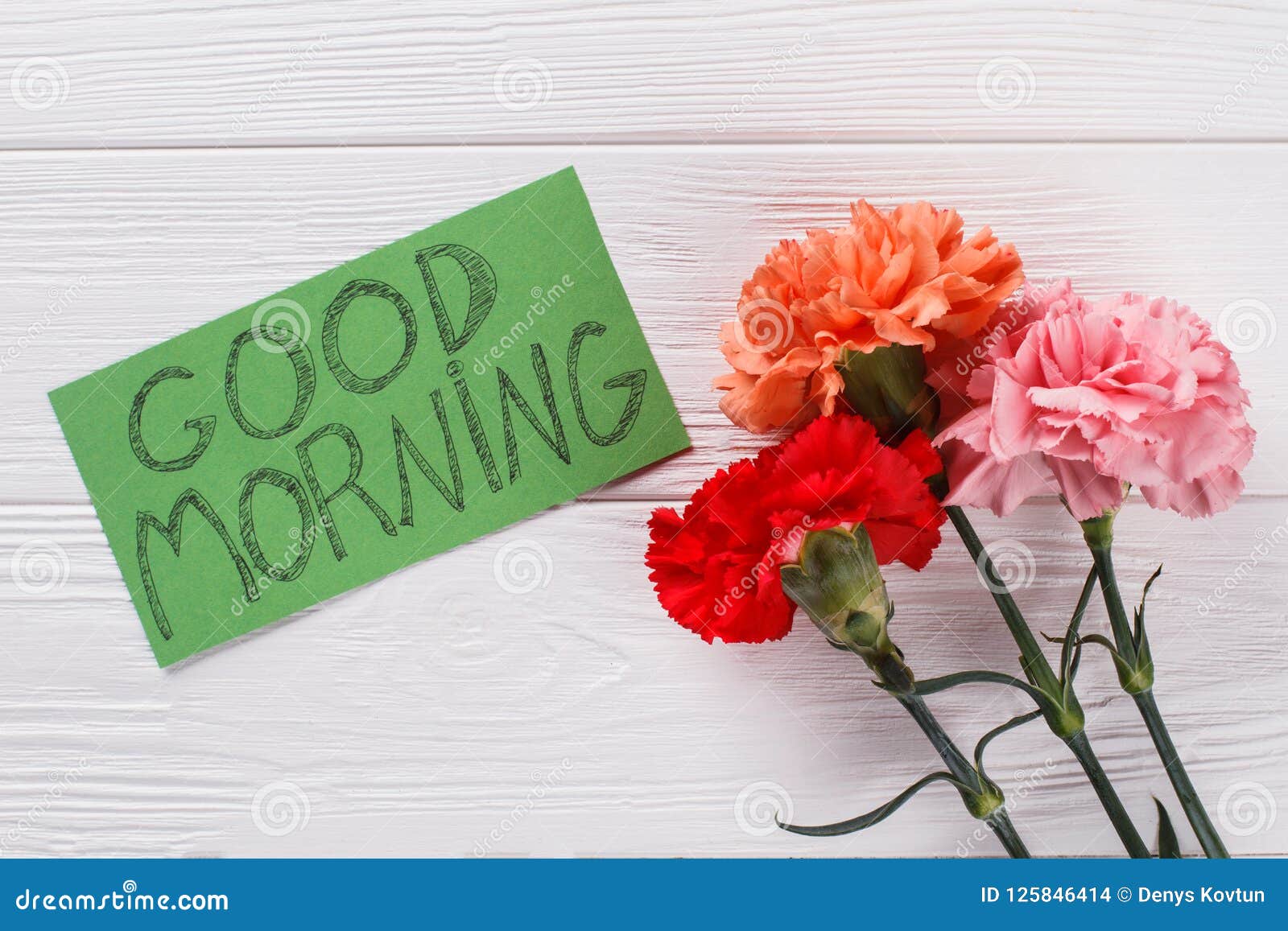 Nota Do Desejo Do Bom Dia E Flores Coloridas Do Cravo Foto de Stock - Imagem de planta, cravos: 125846414 Nota Do Desejo Do Bom Dia E Flores Coloridas Do Cravo Foto de Stock - Imagem de planta, cravos: 125846414