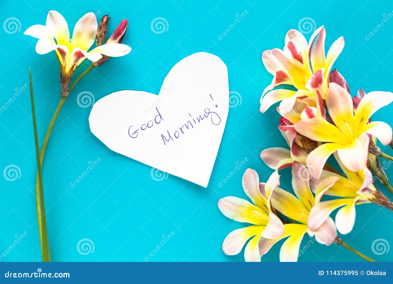Nota Na Forma Do Coração Com Bom Dia Das Palavras Imagem de Stock - Imagem de planta, flora: 114375995 Nota Na Forma Do Coração Com Bom Dia Das Palavras Imagem de Stock - Imagem de planta, flora: 114375995