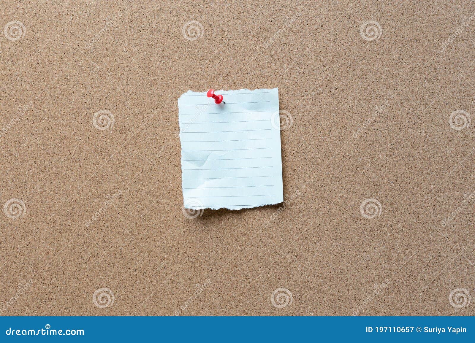 Note Paper with Tack on Cork Bulletin Board Stock Image Image of