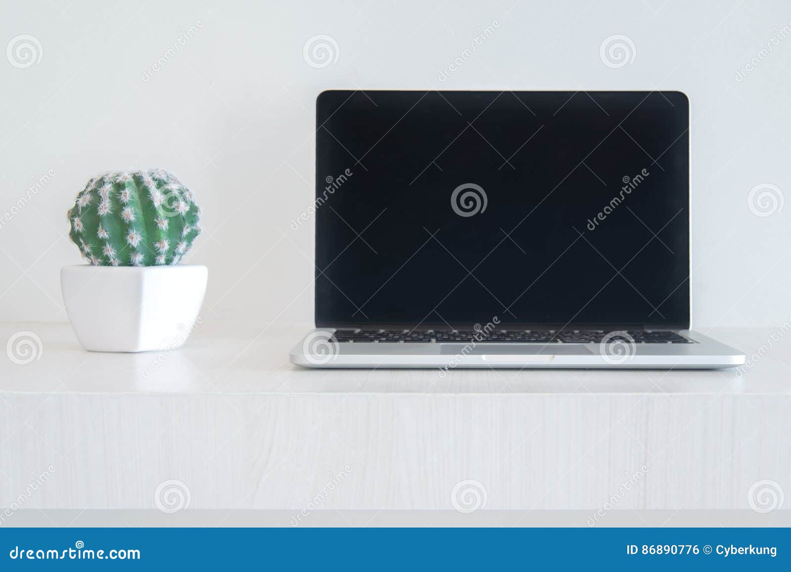 notebook laptot and cactus
