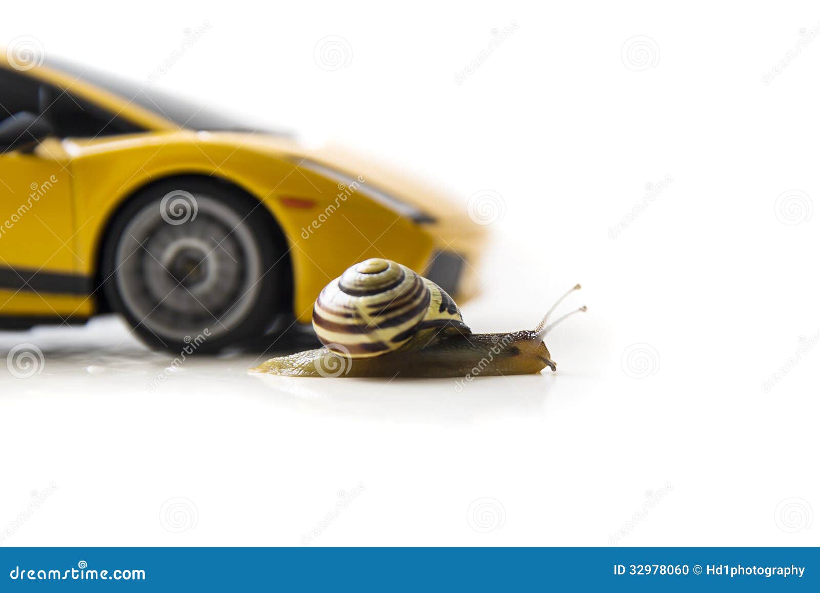 Snail Race Car stock photo. Image of snail, adversity 32978060