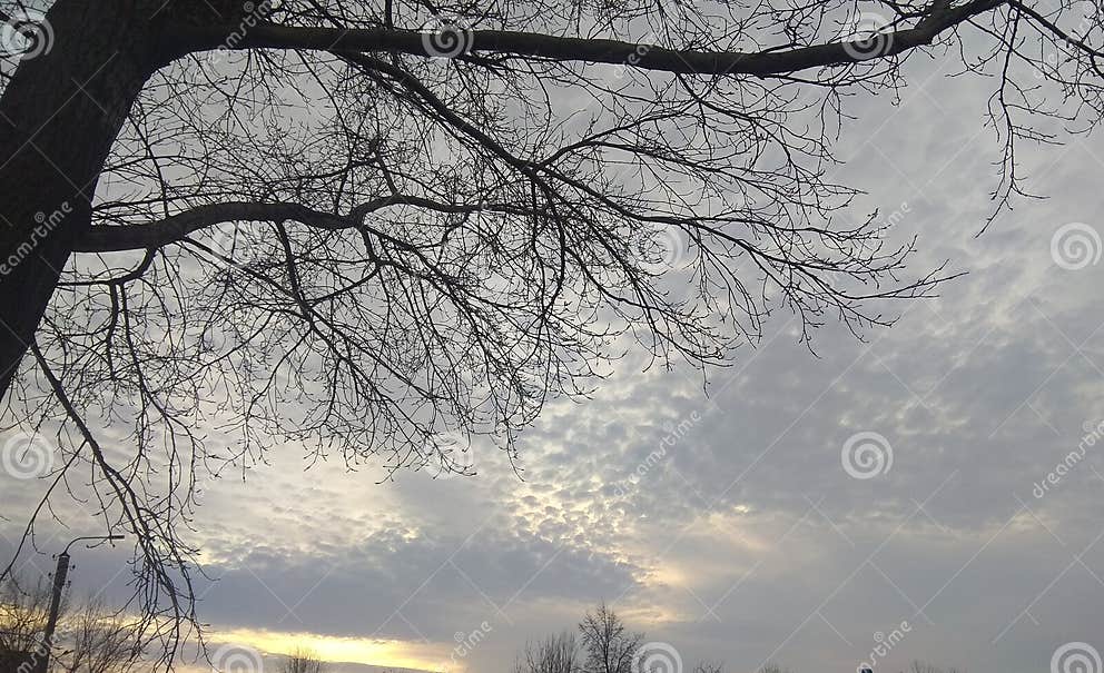 Nothing is More Beautiful Than Nature Stock Image Image of nature, beautiful 179854099