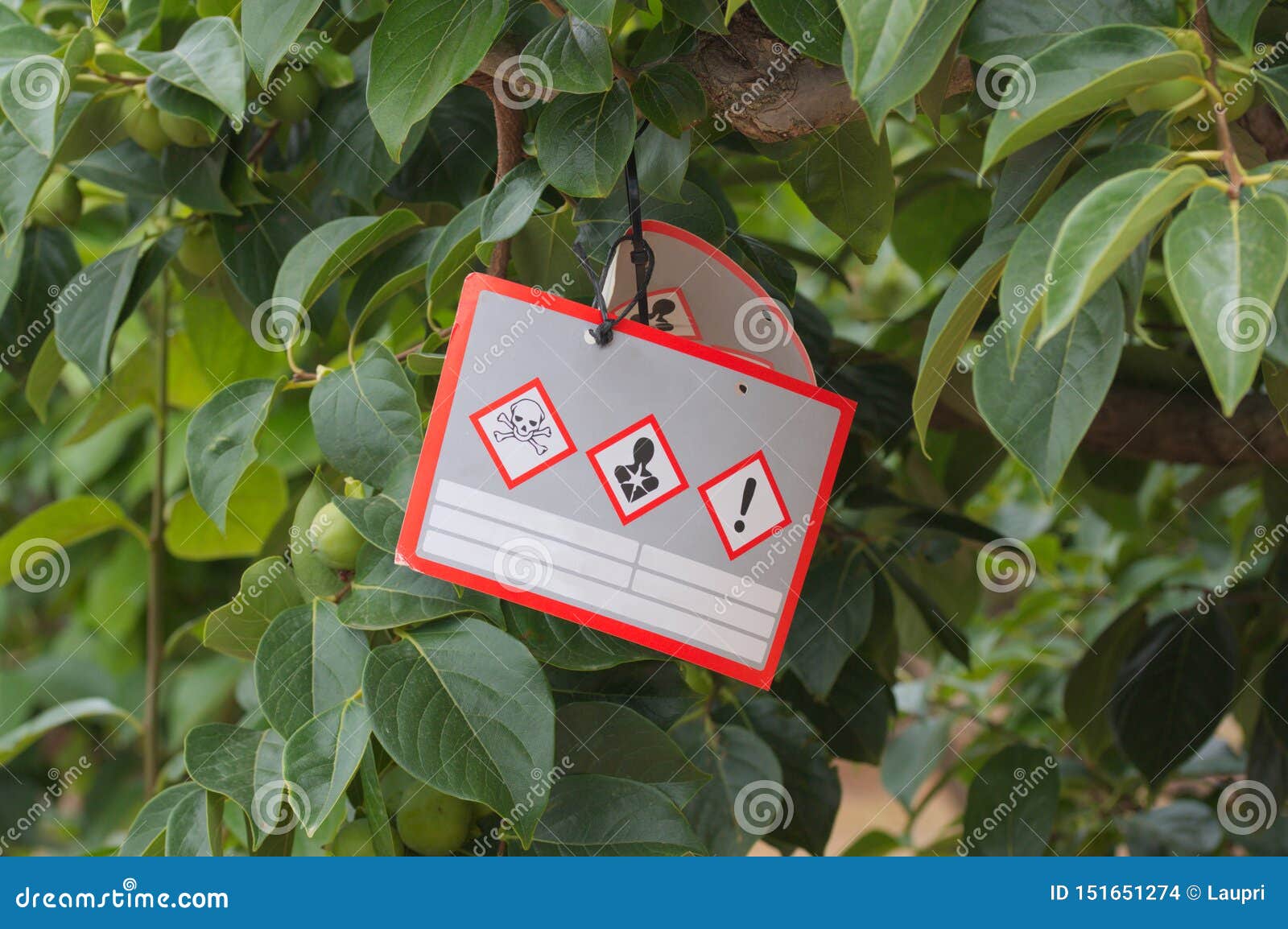 insecticides and pesticides images insecticides and pesticides images